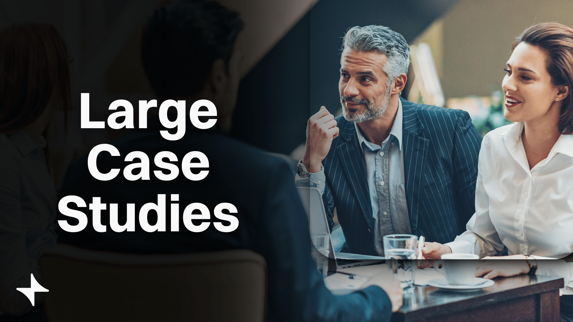 Large_Case_Studies