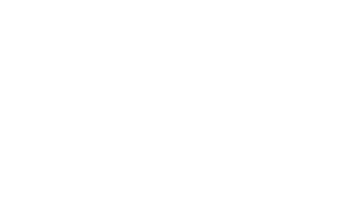 Vuzix Logo
